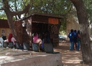 Scopri di più sull'articolo 17 giovani in Senegal sostenuti grazie a delle borse di studio