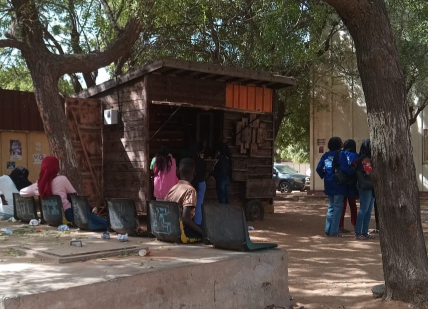 Scopri di più sull'articolo 17 giovani in Senegal sostenuti grazie a delle borse di studio